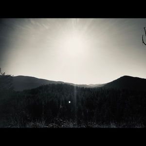 Meet your Posher, Madalene